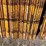 scaffolding-on-carring-cage.-image-3