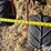 case-ih-5500-image-11