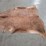medium-brindle-hide-image-4