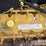 2021-caterpillar-336-image-95