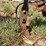 orthman-12-row-liquid-fertilizer-applicator-image-17