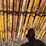 scaffolding-on-carring-cage.-image-5