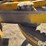 caterpillar-12-image-15