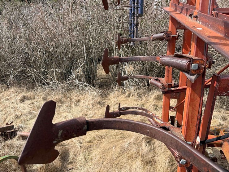 international-45-image-6