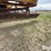 caterpillar-12-image-12