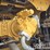2021-caterpillar-336-image-76