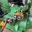 1980-john-deere-2040-image-26