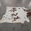 brown-and-white-hide-image-5