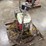 #2033-•-wacker-walk-behind-power-trowel-image-3