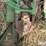 1998-john-deere-693-image-15