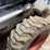bobcat-7753-image-20