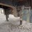 simonsen-industries-24-ton-tender-trailer-image-11