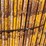 scaffolding-on-carring-cage.-image-6