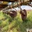 orthman-12-row-liquid-fertilizer-applicator-image-13