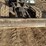 2022-sany-sy35u-image-20