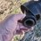 peck-802-image-12