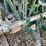 big-green-scaffolding-image-92