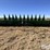 2008-john-deere-612c-stalkmaster-image-14