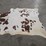 brown-and-white-hide-image-7