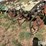orthman-12-row-liquid-fertilizer-applicator-image-15