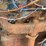 fordson-major-image-57