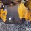 caterpillar-12-image-13
