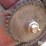 hesston-sp10-image-12