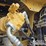 2021-caterpillar-336-image-56