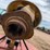 bush-hog-72-image-11