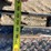 gooseneck-flatbed-trailer-image-23