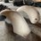 ford-139-image-4