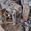 peterbilt-389-image-54