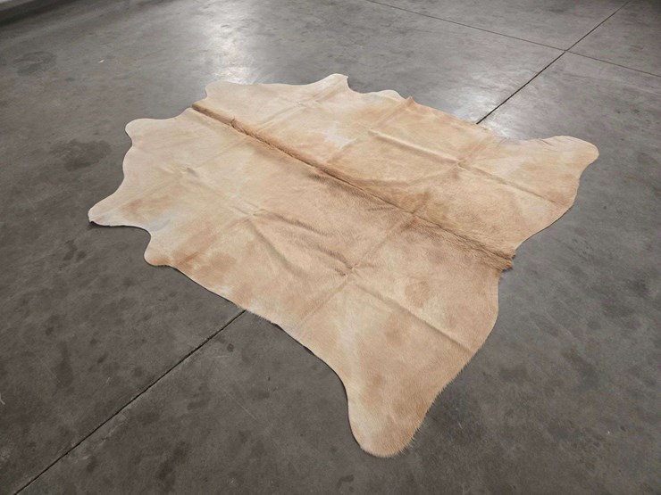 beige-hide-image-3