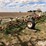 orthman-12-row-liquid-fertilizer-applicator-image-3