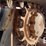 2020-bobcat-t870-image-23
