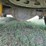2011-chevrolet-2500hd-image-9