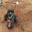 dr-walk-behind-stump-grinder-5861-image-1