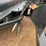 #4133-•-jct-72"-hydraulic-sweeper-angle-broom-image-8