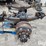 massey-ferguson-730-image-8