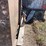 dumpster-image-8