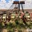 orthman-12-row-liquid-fertilizer-applicator-image-9