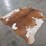 brown-and-white-regular-hide-image-1