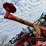 kuhn-sr112-image-14