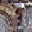 2018-bobcat-e50-image-32