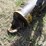 caterpillar-10-image-14