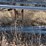 rack-with-wire-rebar-image-8