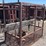 scaffolding-cage-image-2