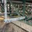 big-green-scaffolding-image-47