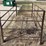 manbasket-image-2