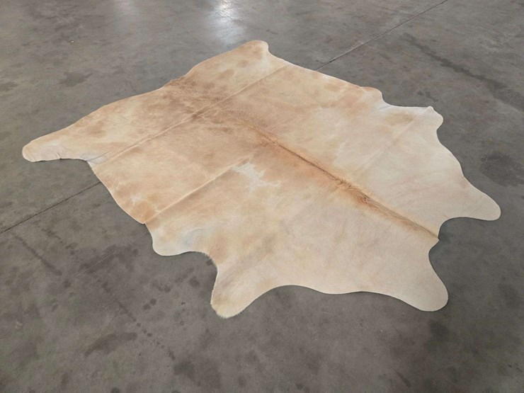 beige-hide-image-6